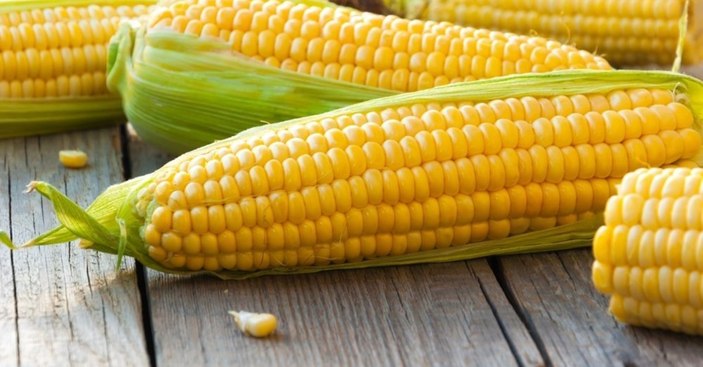 Diyetinize ekleyebileceğiniz yüksek proteinli 10 sebze