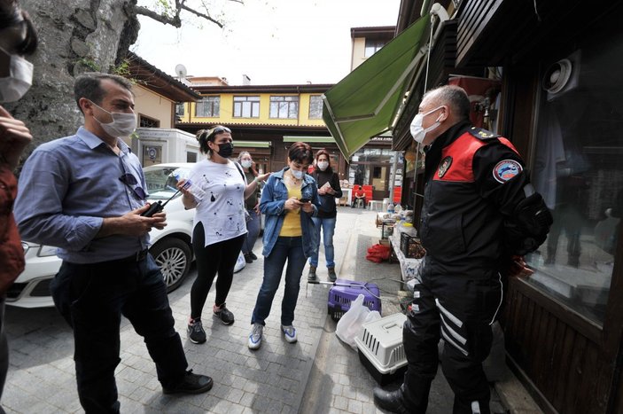 Bursa'da lokantada mahsur kalan kedi, HAYDİ uygulamasıyla kurtarıldı
