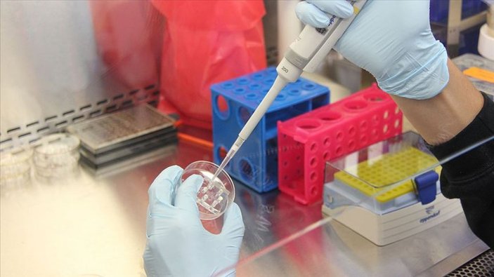 15 Mayıs'tan itibaren 16 ülkeden PCR testi istenmeyecek