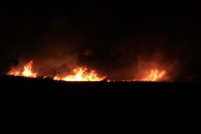 Erzincan'da koruma altındaki Ekşisu Sazlık Alanı'nda yangın çıktı