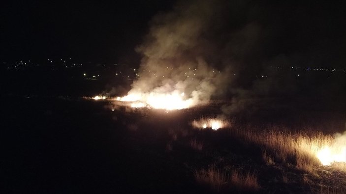 Erzincan'da koruma altındaki Ekşisu Sazlık Alanı'nda yangın çıktı