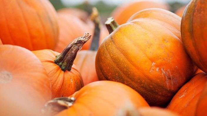 Göz sağlığı için A vitamini yüksek 16 yiyecek