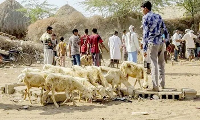 155 milyon insan yeterli gıdaya ulaşamıyor