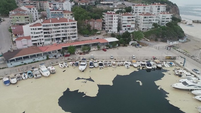 Marmara Denizi'nin birçok noktasına yayılan 'deniz salyası' canlıları tehdit ediyor