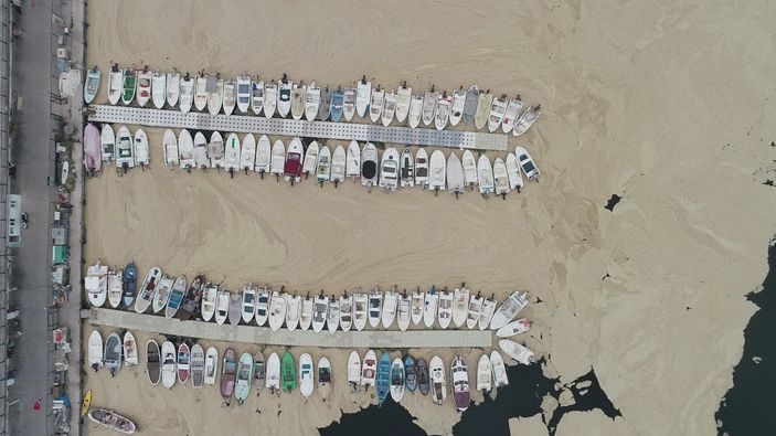 Marmara Denizi'nin birçok noktasına yayılan 'deniz salyası' canlıları tehdit ediyor