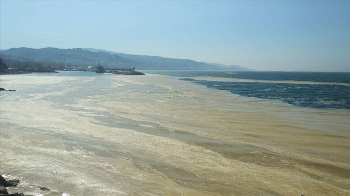 Marmara Denizi'nin birçok noktasına yayılan 'deniz salyası' canlıları tehdit ediyor
