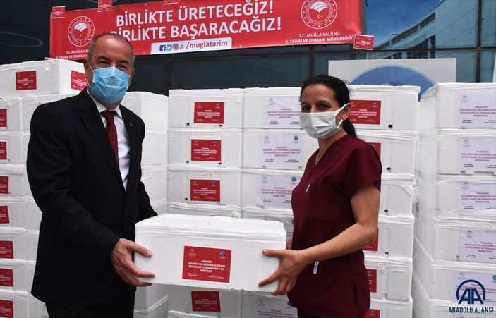 Muğla'da sağlık çalışanlarına 20 ton balık dağıtıldı