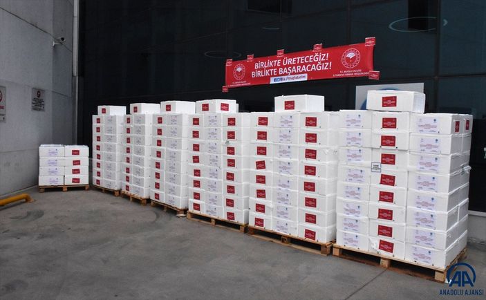 Muğla'da sağlık çalışanlarına 20 ton balık dağıtıldı