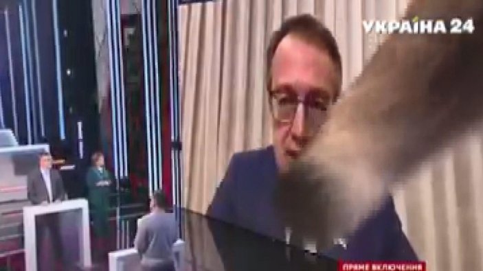 Ukraynalı bakan yardımcısının canlı yayında kedisiyle imtihanı