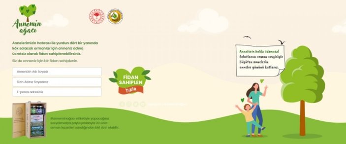 OGM Annemin Ağacı kampanyası: Anneler Günü'ne özel fidan bağışı nasıl yapılır?