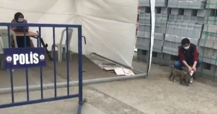 d Ağrı'da, polis memurundan alkışlanacak hareket: Sokak köpeklerini sütle besledi