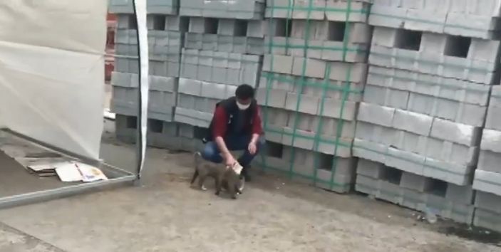 d Ağrı'da, polis memurundan alkışlanacak hareket: Sokak köpeklerini sütle besledi