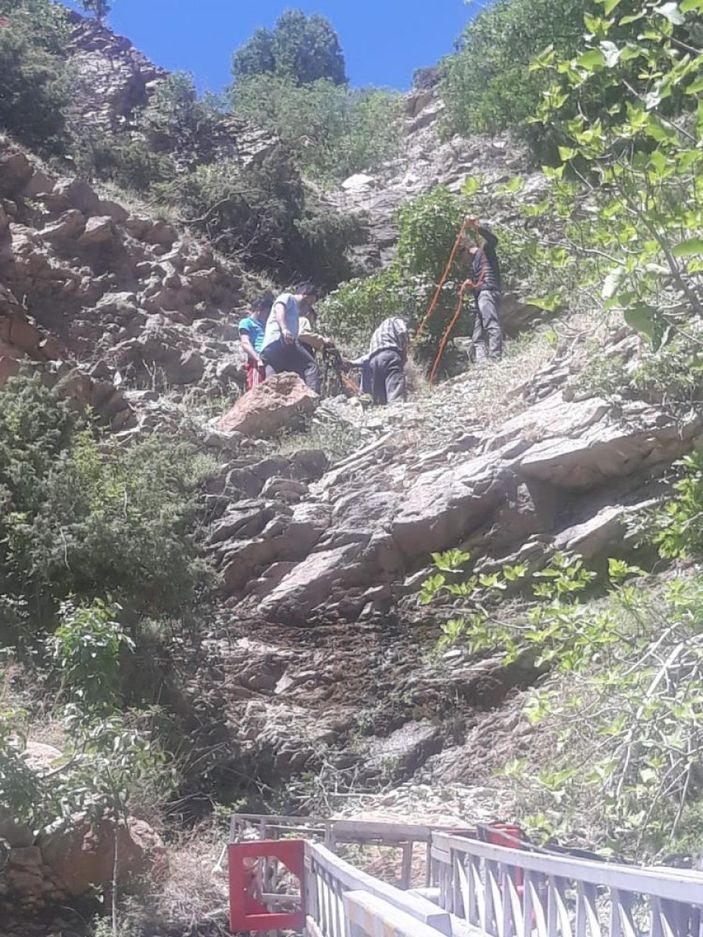 Batman'da uçuruma yuvarlanan inek kurtarıldı