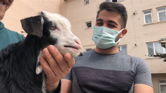 d Kars'ta keçi ve yavrusunu bahçede besliyorlar