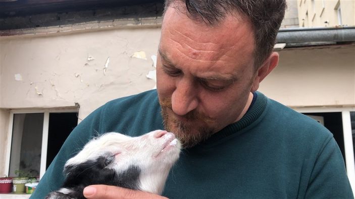 d Kars'ta keçi ve yavrusunu bahçede besliyorlar