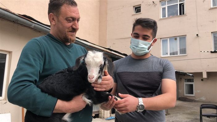 d Kars'ta keçi ve yavrusunu bahçede besliyorlar
