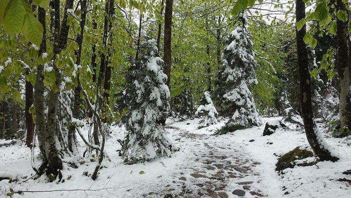 Borçka Karagöl'e mayısta kar yağdı