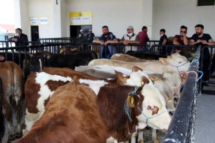 i Bayburt'ta hayvan pazarı yeniden açıldı