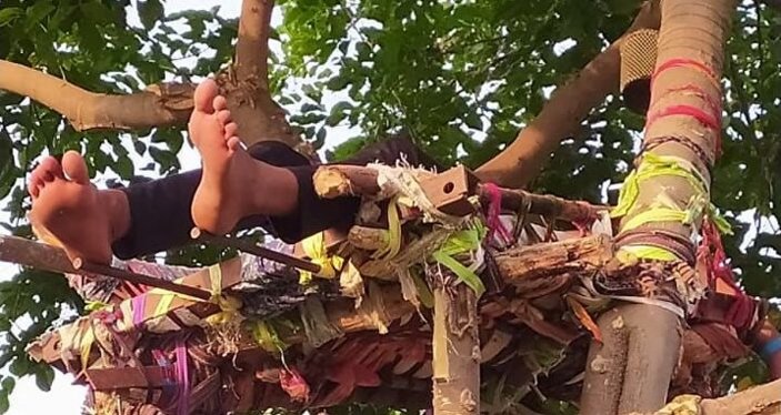 Hindistanlı gençten ağaçta 'izolasyon yatağı'
