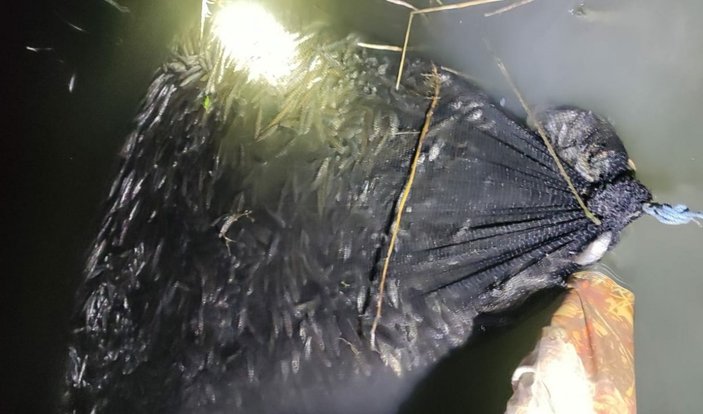 Van Gölü'nde yapılan denetimlerde 15 ton inci kefali kurtarıldı