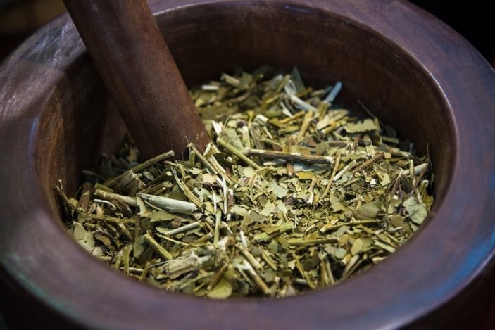 İştah kapatıyor, yağları yakıyor: Mate çayının faydaları nelerdir?