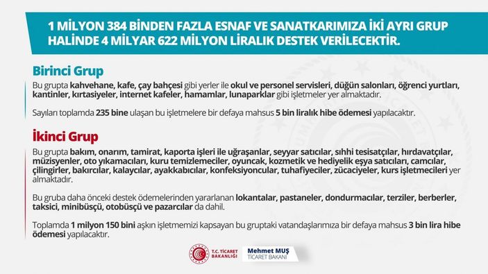 5000 TL hibe desteği kimlere verilecek? 5 bin TL hibe desteği başvuru ekranı 2021