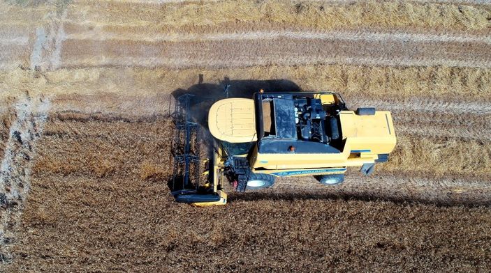 i Buğday hasadı başladı