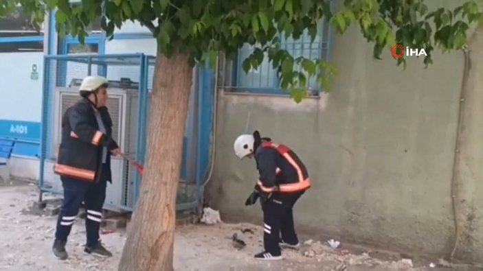 Mersin'de 'anne karga' itfaiye ekiplerine saldırdı