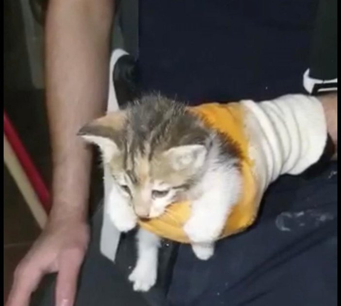 Manisa'da su borusuna sıkışan yavru kedi kurtarıldı