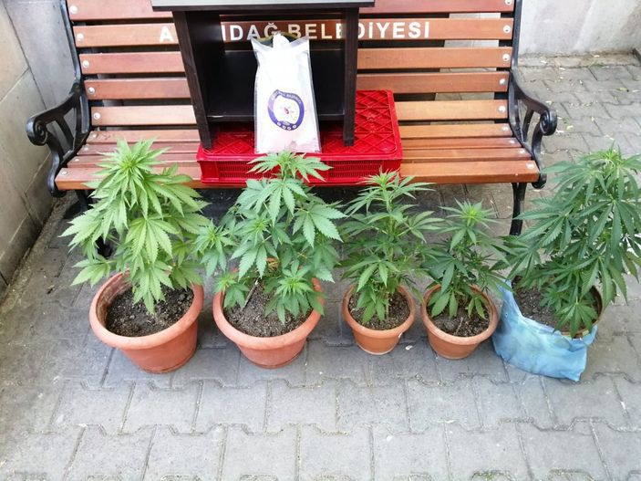 i Ankara'da uyuşturucu operasyonu: 2 gözaltı