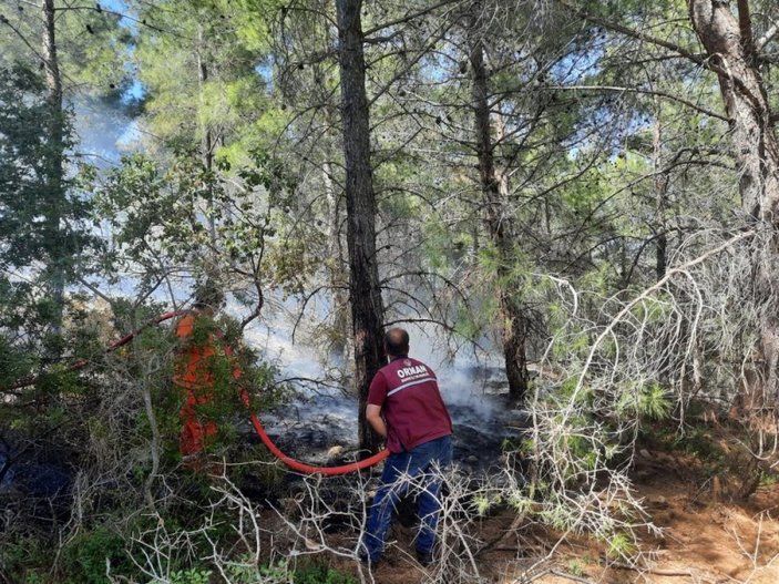 Antalya'da orman yangını