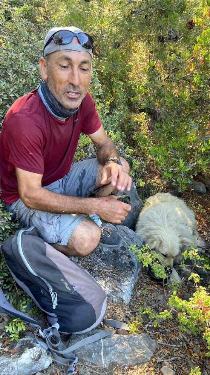 Muğla'da kurtarılan köpeği sırtında taşıdı