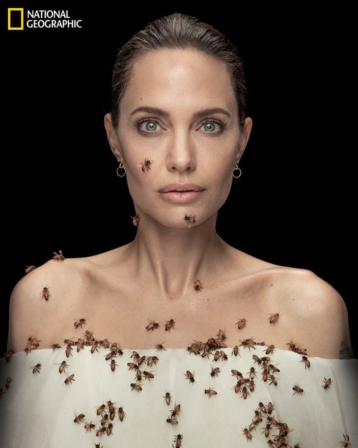 Angelina Jolie, arıların önemini anlatmak için objektif karşısına geçti