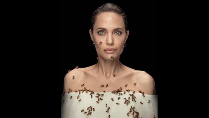 Angelina Jolie, arıların önemini anlatmak için objektif karşısına geçti