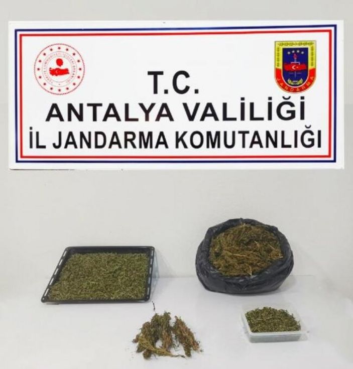 Alanya'da eve uyuşturucu baskını: 1 gözaltı