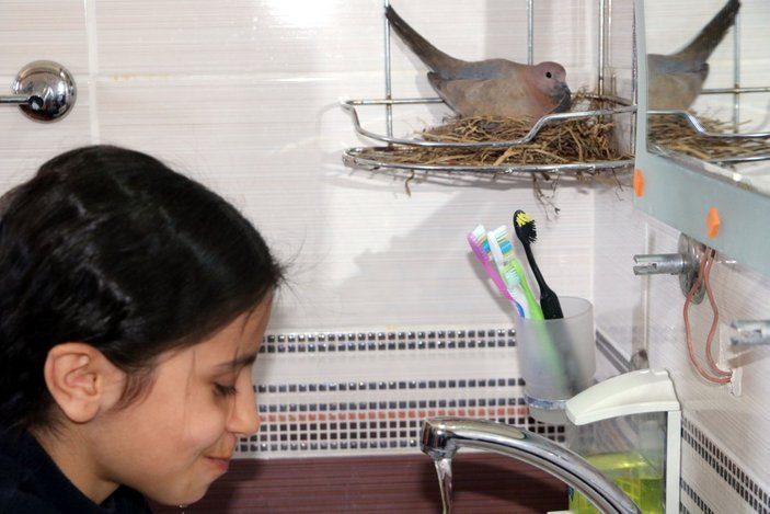 Hakkari'de, 6 kişilik aile banyosunu kumrularla paylaşıyor