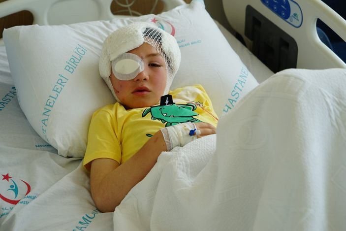 i Kastamonu’da 8 yaşındaki çocuğa köpek saldırdı