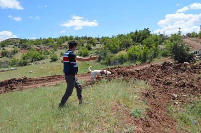 d Adıyaman'da kaybolan genç aranıyor