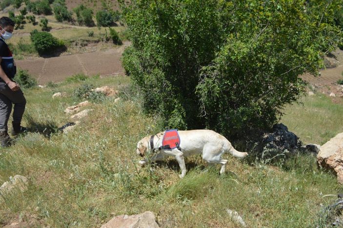d Adıyaman'da kaybolan genç aranıyor