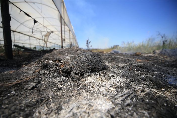 Antalya'da çıkan yangın, kontrol altına alındı