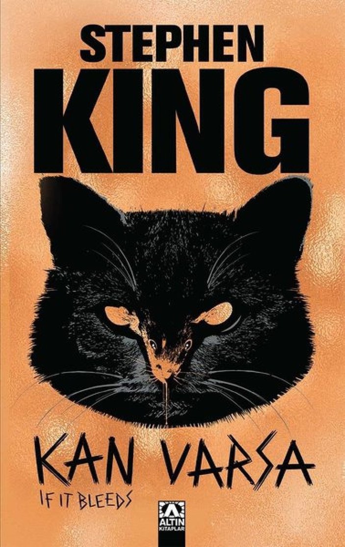 Korku kitaplarının sevilen ismi Stephen King’den 'Kan Varsa'
