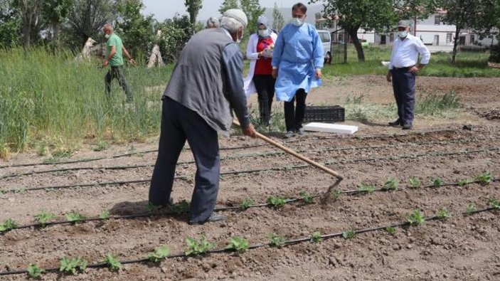 Erzincanlı çiftçi aile çapa yaptıkları tarlada aşılandı