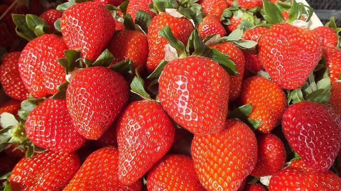 Susuzluğunuzu gidermek için en iyi 10 besin