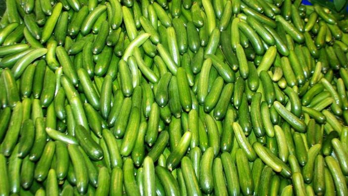 Susuzluğunuzu gidermek için en iyi 10 besin