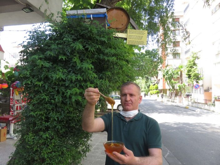 Rizeli bakkal, Kadıköy’ün ortasında arı kovanı kurdu