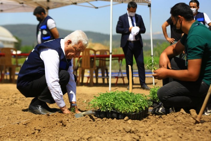 Ata tohumu ekiliyor