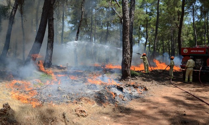 Antalya’da 3 günde 80 dekar alan kül oldu