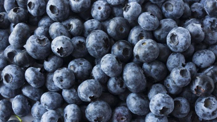 En besleyici 10 yaz meyvesi