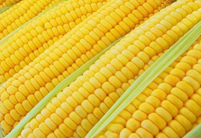 En besleyici 10 yaz meyvesi