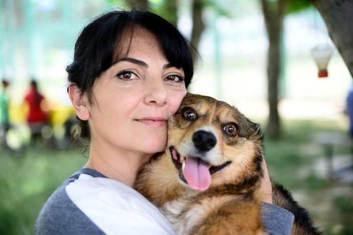 d Bursa'da felçli olan köpek, kök hücre nakli ile yürüdü